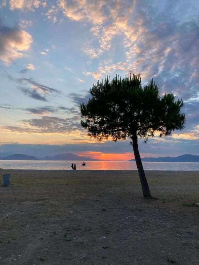 Mirtia Hotel Pefki  Dış mekan fotoğraf
